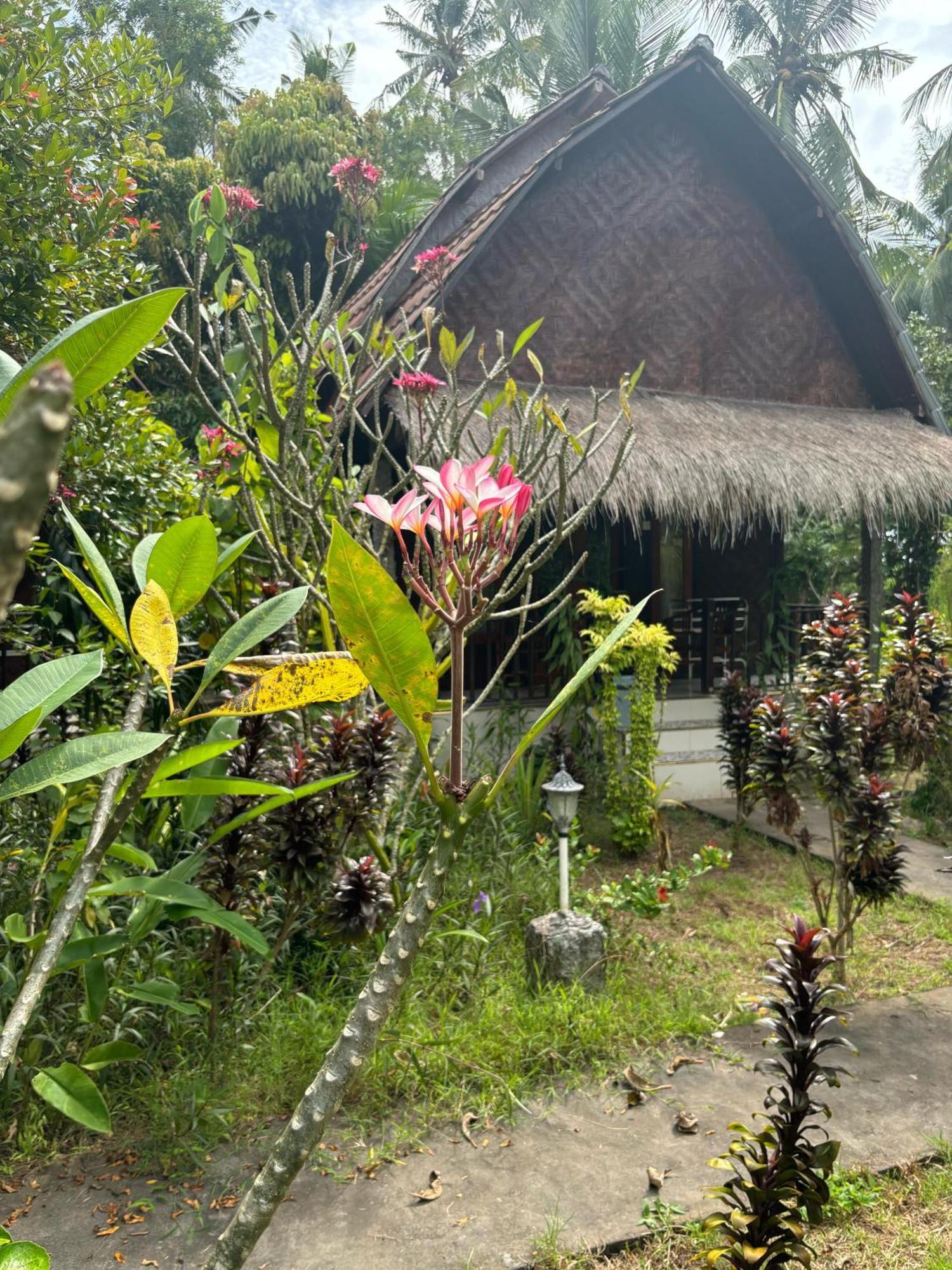 Kubu Artha Bungalow Nusa Penida Ped Ngoại thất bức ảnh